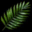 Decorative leaf