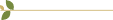 Decorative separator